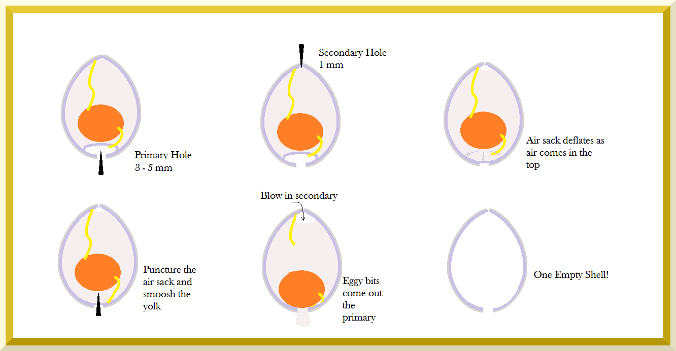 Steps to blow an egg